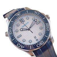 SILVER dial blue bezel Rubber