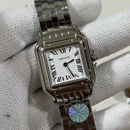 New Quartz Battery Power Squar Stainless Steel Watches Stainless Steel Wristwatches Leather strap Womens ladies Watch c1 Movement Apantheres